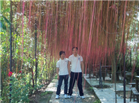 2011年優(yōu)秀社員新豊雲(yún)天海溫泉二日間観光